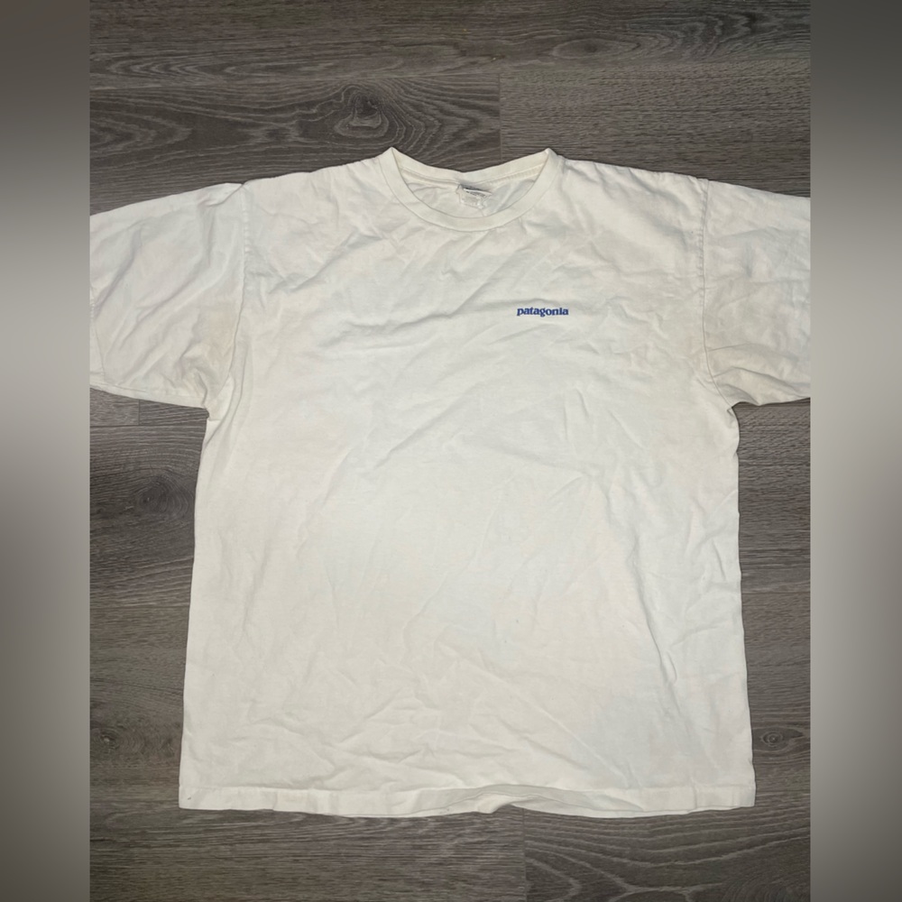 EXTREMELY RARE Patagonia Hokusai Wave Graphic Art Organic Cotton T Shirt L